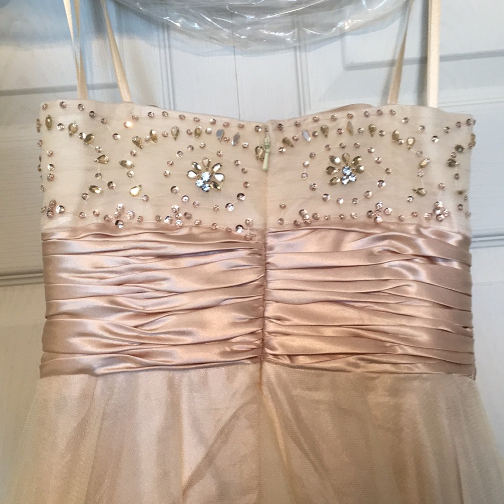 Prom Dress - Picture 5 of 7